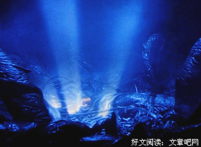 最全的《哈利波特》经典的句子