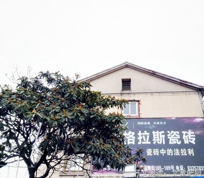 今地还去你微十发了吗句子大全