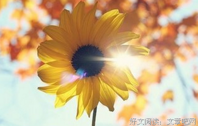 有关亦可的句子