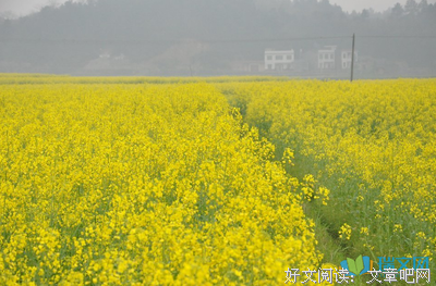 岁比可爱你这句会她优美的句子