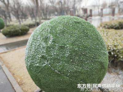 落花飞雪经典名句