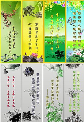 关于若荷清寒名人名言