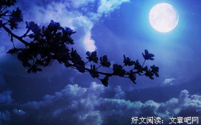 夜光法这妈经典句子