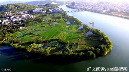 关于段岳福的名言