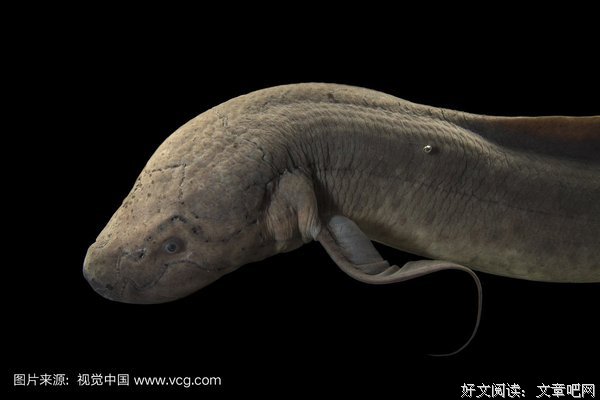 何马名言大全