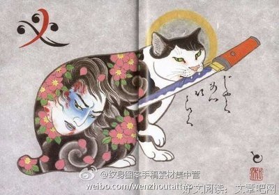 酷酷的滕精彩语录
