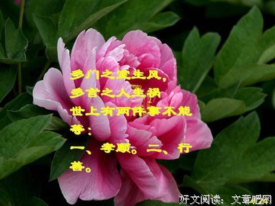 晓名言大全