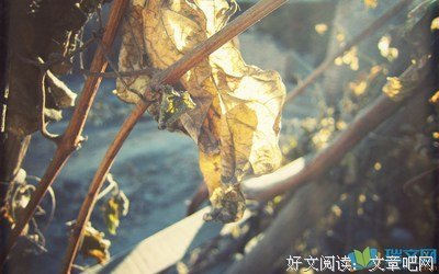 《幸福了吗》名句欣赏