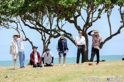 最新的《排球少年》动漫语录