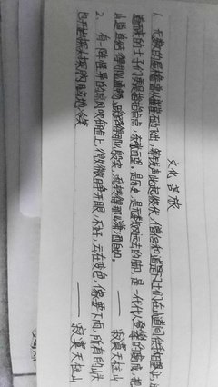 最经典的《文化苦旅》小说摘抄