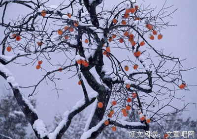 《明年明月》经典的句子