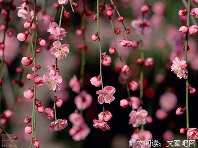 最全的《格言联璧》经典语录大全