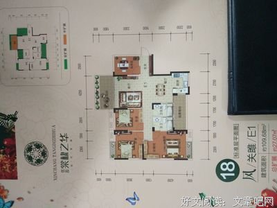 最全的《棠棣之华》经典名句