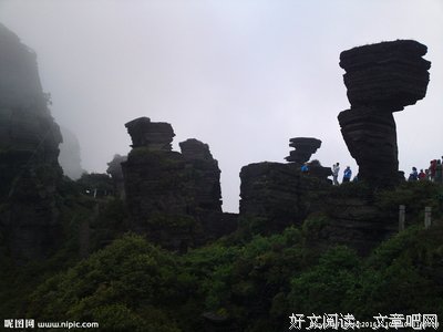最全的《绝处逢生》小说摘抄