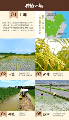 关于米楚的语句