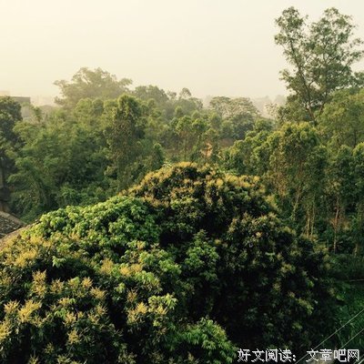 关于罗兰名言名句