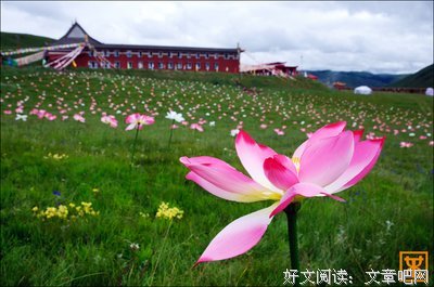 关于佛子的格言