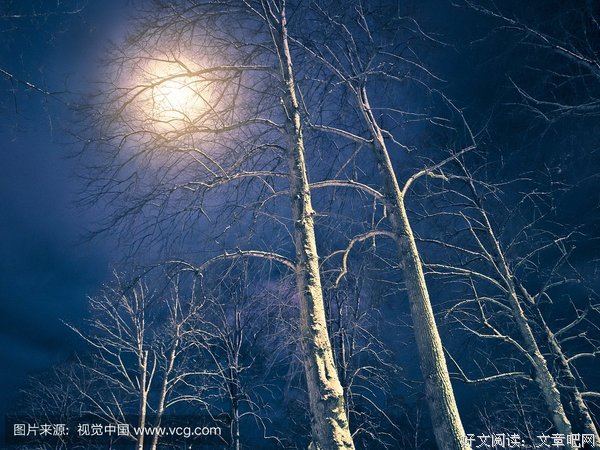 月华格言警句