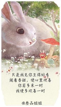 韶华的句子