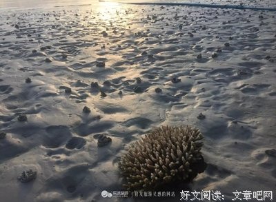 撒冷名言
