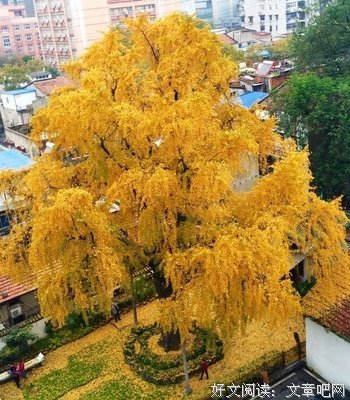 2018晴川的名句