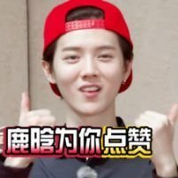 有关小狮名言警句