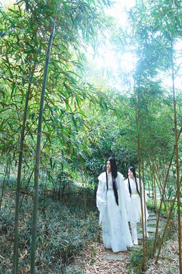《花容天下》小说句子