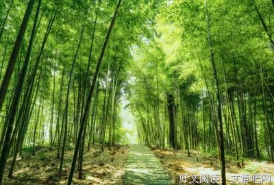 最全的《过得刚好》语录摘抄