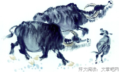这3个属相的女人，脾气不太好，但福气深厚