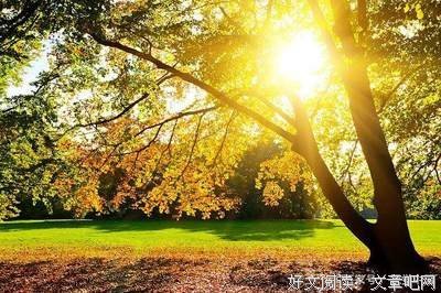 最全的《雕刻时光》经典的句子