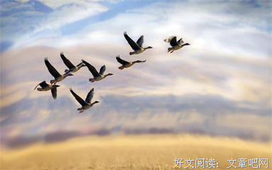 原来，逐梦的女人是如此迷人