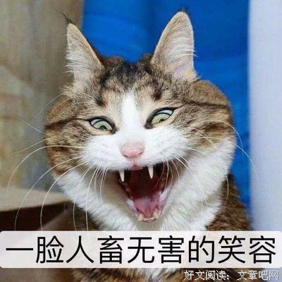 那些自称肥宅的人