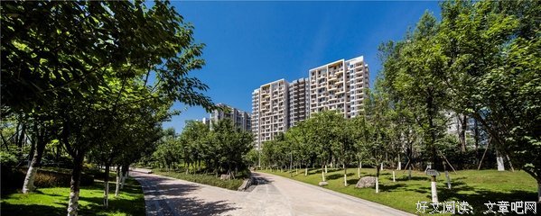 最全的《骄阳似我》好段摘抄