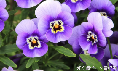 最新的《久不见天堂》经典句子