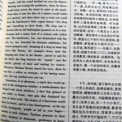 最新的《包法利夫人》小说书摘