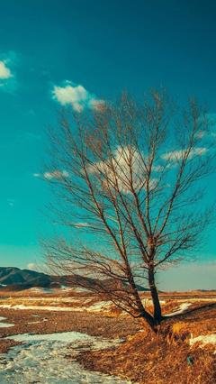 《可惜不是你》经典句子大全