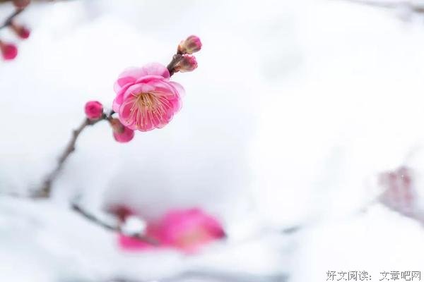 微笑向暖，一路从容