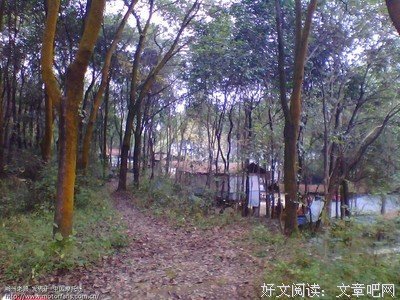 雷音寺的句子