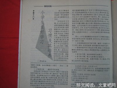 15条关于林如的经典语句
