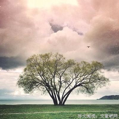 15条关于恨晚的经典语句