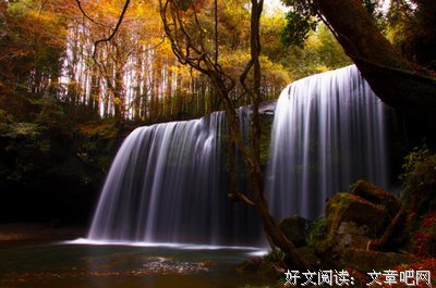 只愿你曾在过这要中觉用的温柔相待经典名句