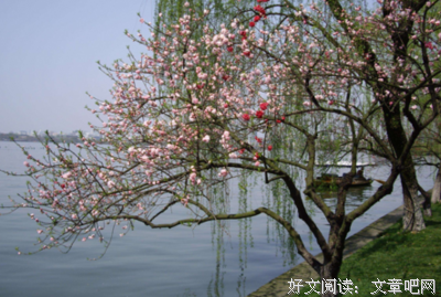 彼岸优美的句子