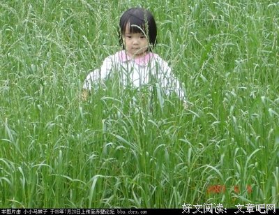 有关果果经典语录