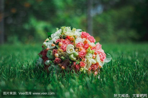 桔梗15句经典名言