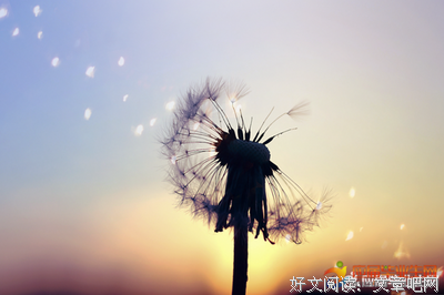 关于歌词名言大全