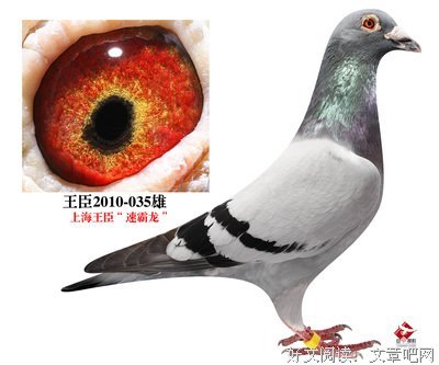 有关王臣的名句