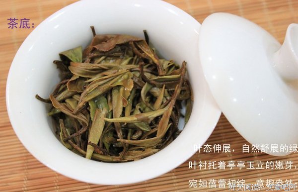 关于白茶名言大全