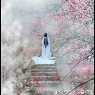 最新的竺子名人名言