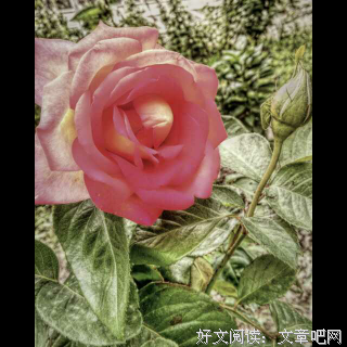 简嫃名言大全