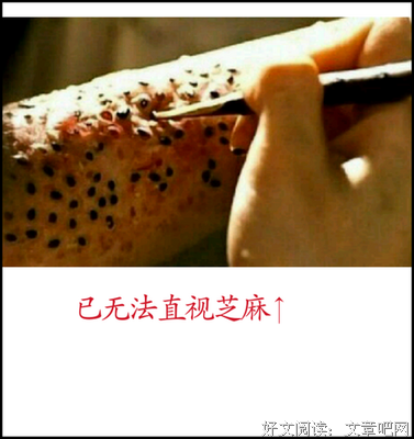 芝麻15句经典名言